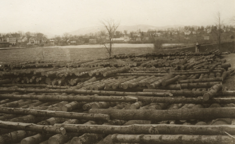 Scaled image s01136.jpg 