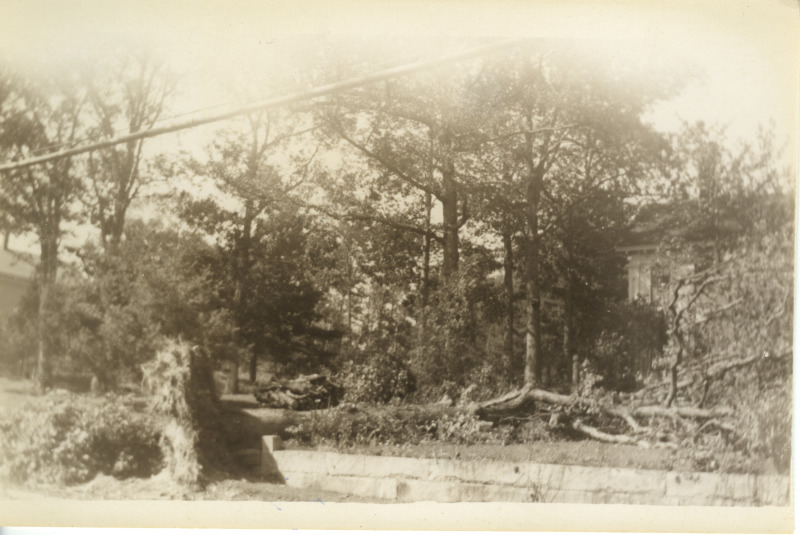 Scaled image s01139.jpg 