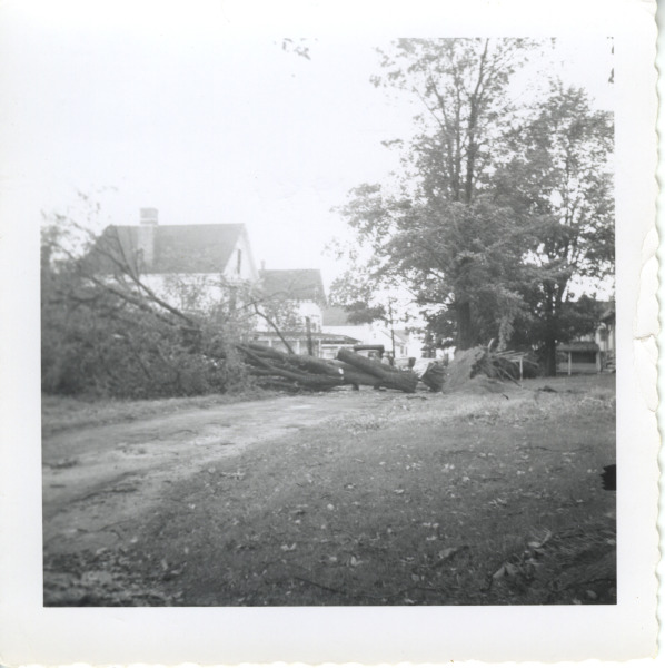 Scaled image s01147.jpg 