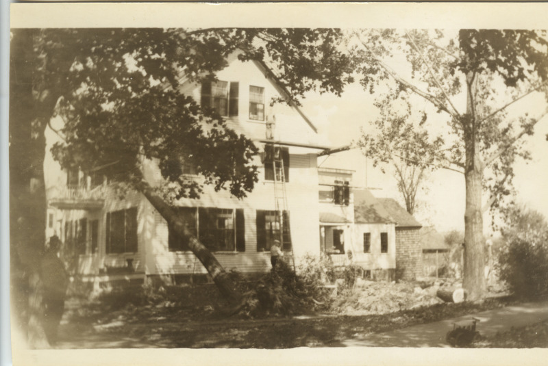 Scaled image s01380.jpg 