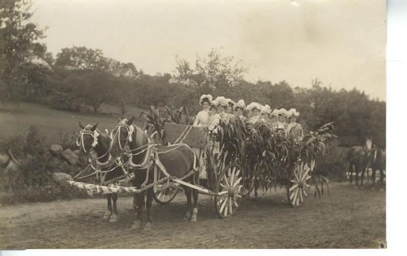 Scaled image s00980.jpg 