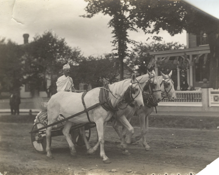 Scaled image s00986.jpg 