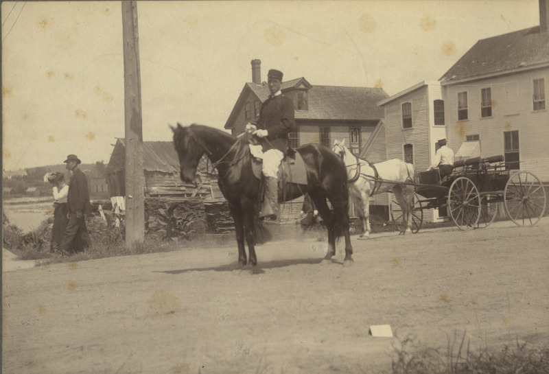 Scaled image s00992.jpg 