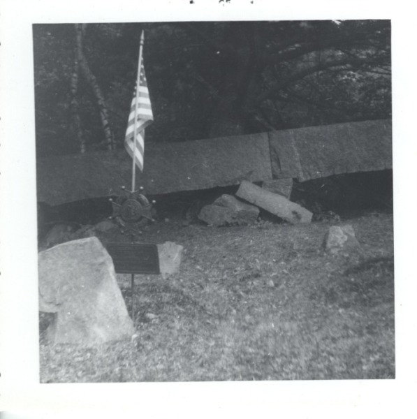 Scaled image s00099.jpg 