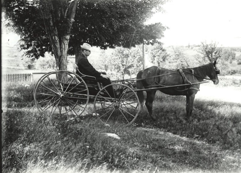 Scaled image s00148.jpg 