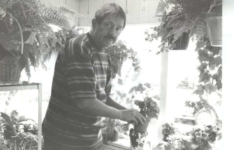 Scaled image s00161.jpg 