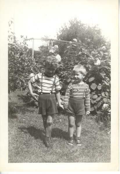 Scaled image s00207.jpg 