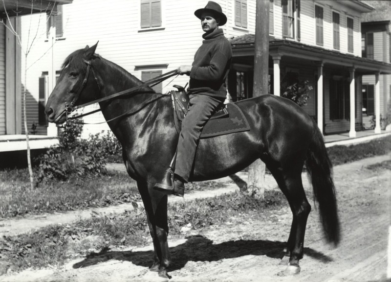 Scaled image s00233.jpg 