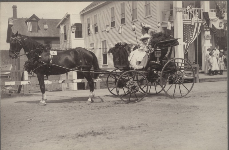 Scaled image s00241.jpg 