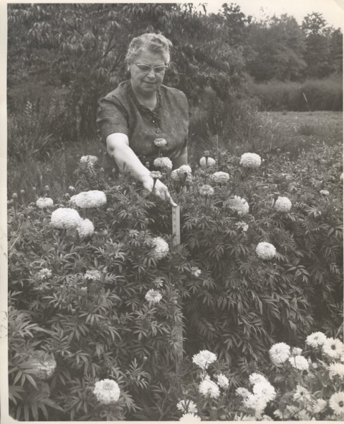 Scaled image s00269.jpg 