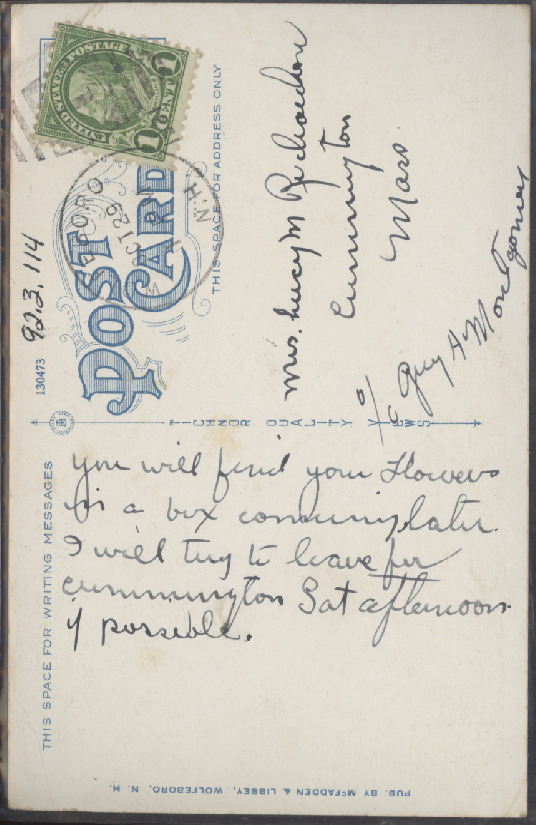 Scaled image s00205.jpg 