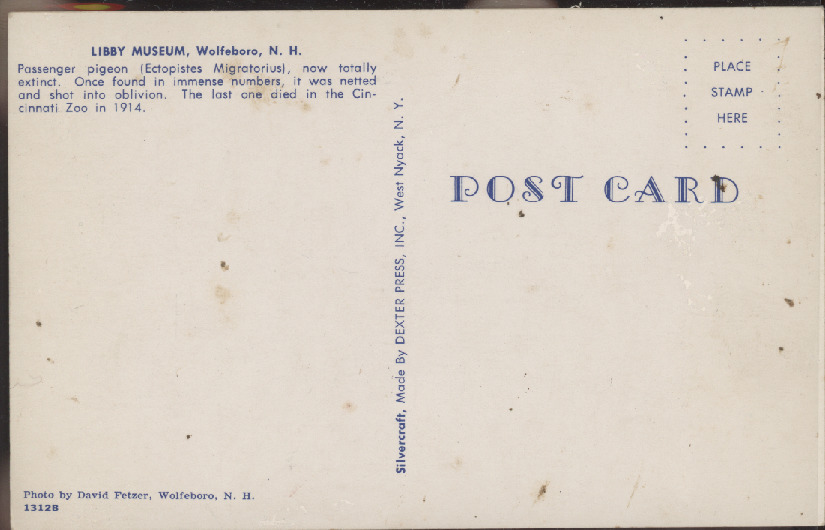 Scaled image s00233.jpg 