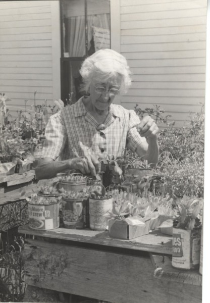 Scaled image s00294.jpg 