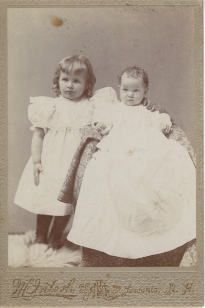 Scaled image s00342.jpg 