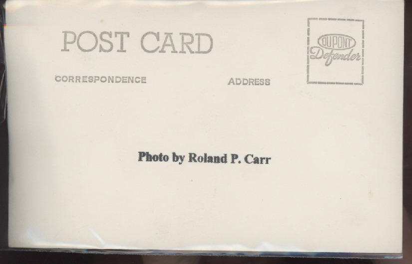 Scaled image s00288.jpg 