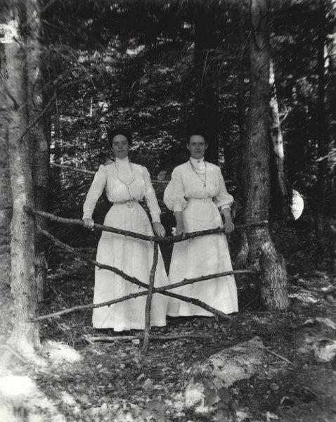 Scaled image s00385.jpg 