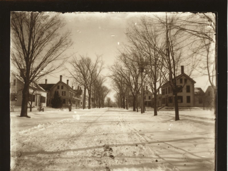 Scaled image s00888.jpg 