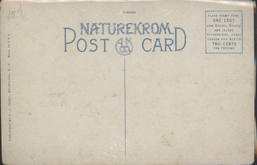 Scaled image s00477.jpg 