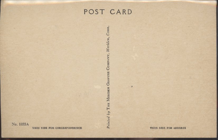 Scaled image s00481.jpg 