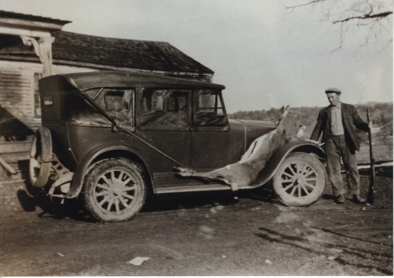 Scaled image s00516.jpg 