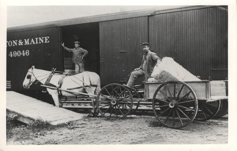 Scaled image s00428.jpg 