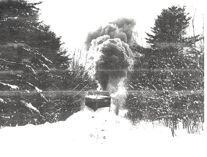 Scaled image s00429.jpg 