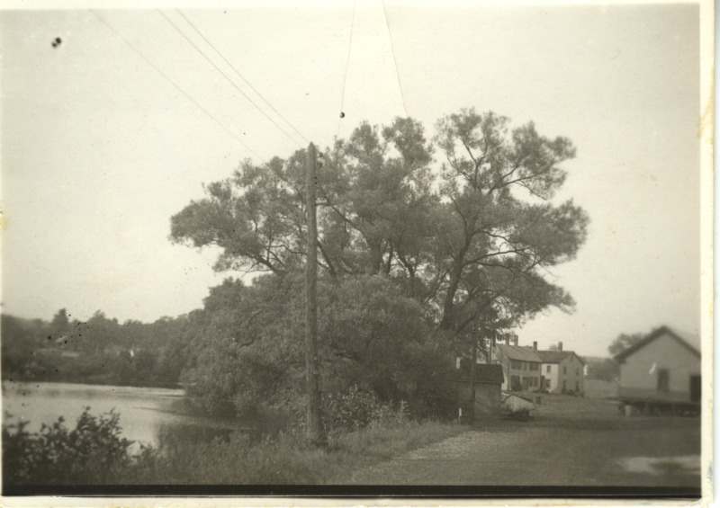 Scaled image s01341.jpg 