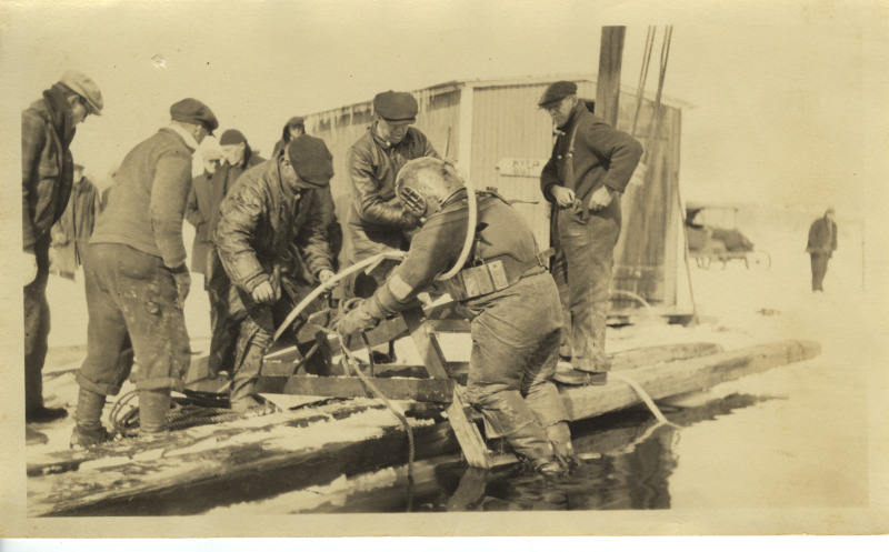 Scaled image s00650.jpg 