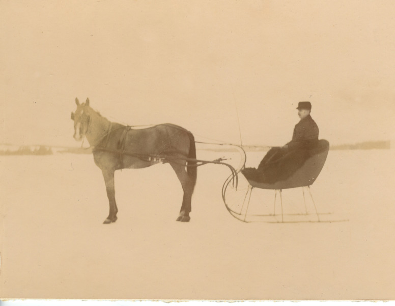 Scaled image s00653.jpg 