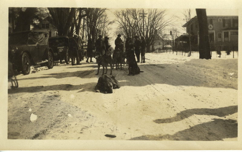 Scaled image s00659.jpg 