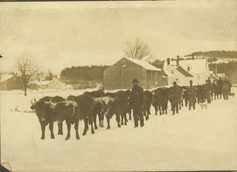 Scaled image s00670.jpg 