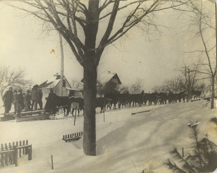 Scaled image s00672.jpg 