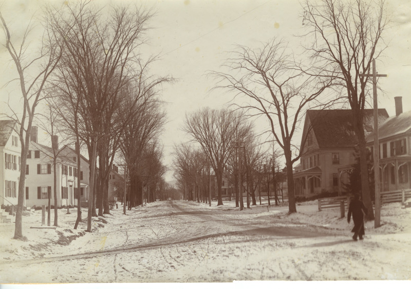 Scaled image s00615.jpg 