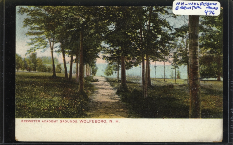 Scaled image s00199.jpg 