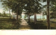 Thumbnail s00199.jpg 