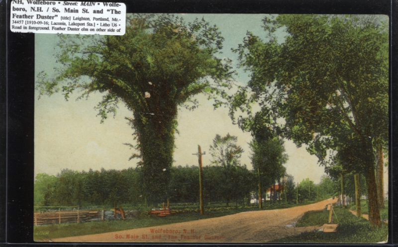 Scaled image s00109.jpg 