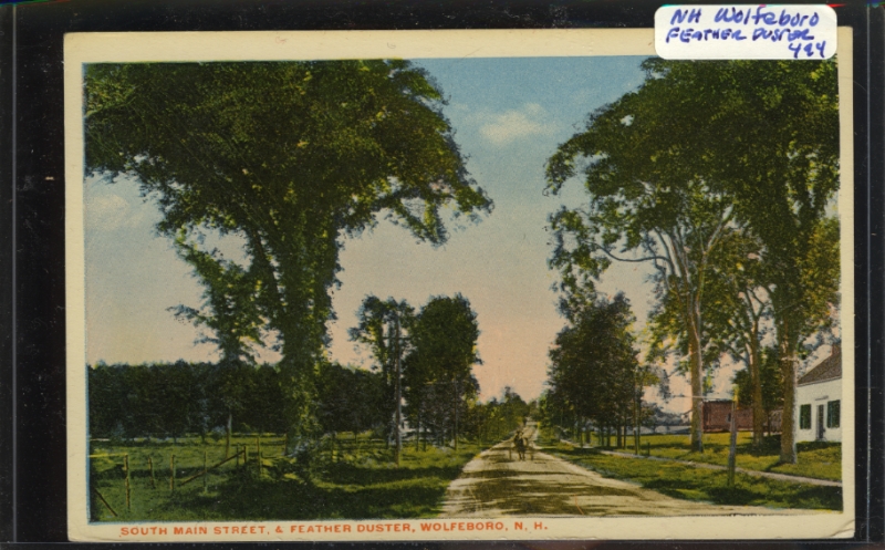 Scaled image s00239.jpg 