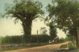 Thumbnail s00109.jpg 