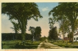 Thumbnail s00239.jpg 