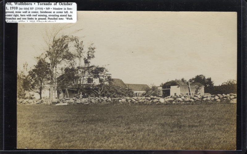 Scaled image s00116.jpg 