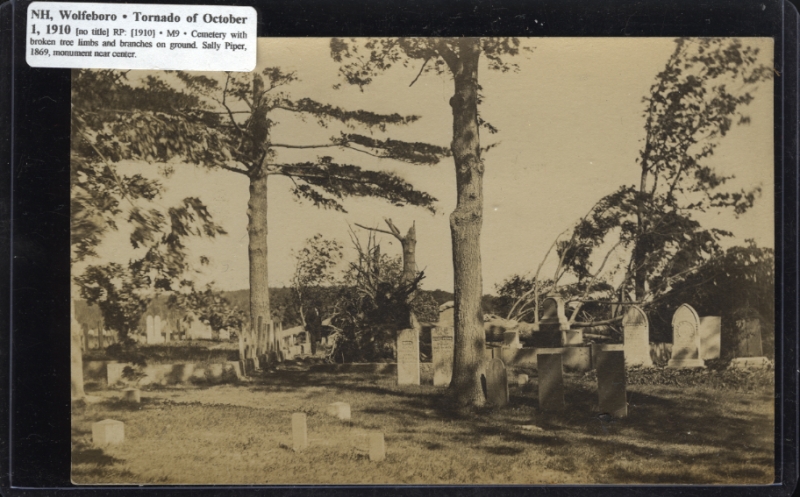 Scaled image s00117.jpg 