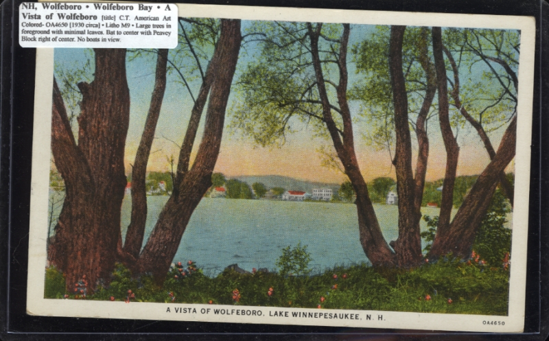 Scaled image s00137.jpg 