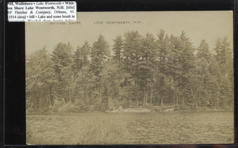 Scaled image s00091.jpg 
