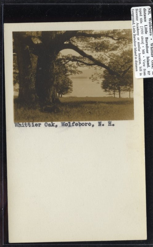 Scaled image s00097.jpg 