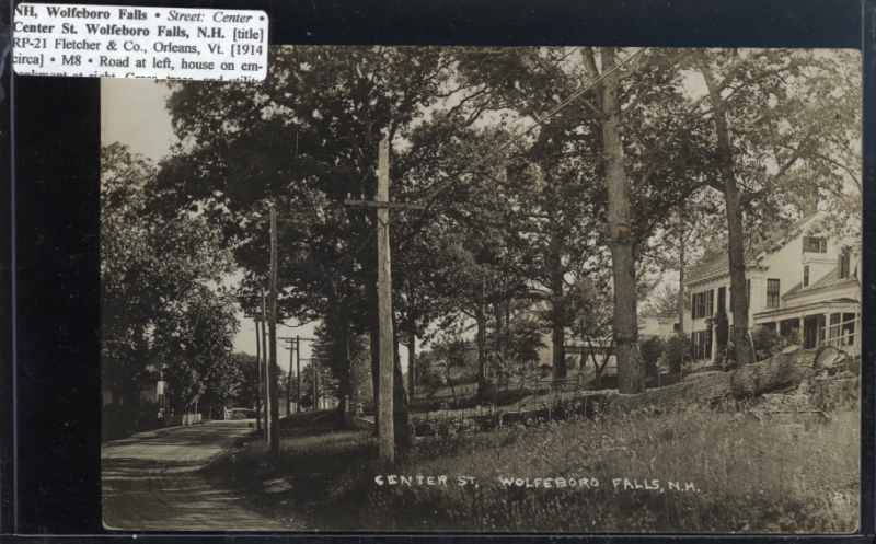Scaled image s00177.jpg 