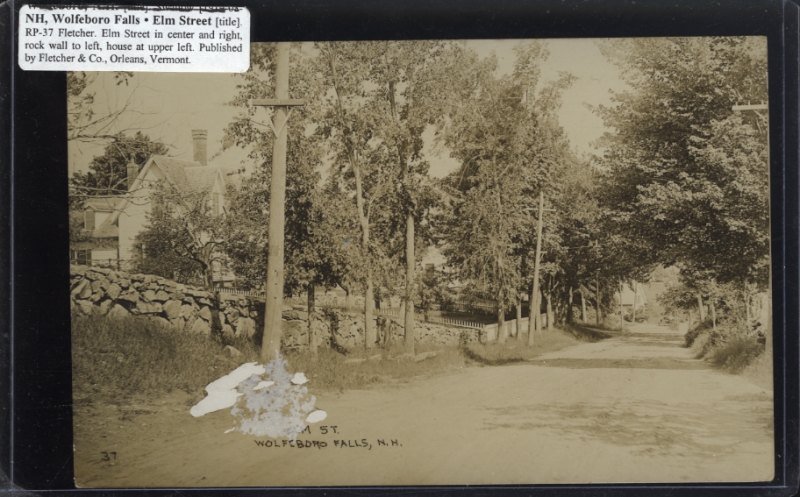 Scaled image s00180.jpg 