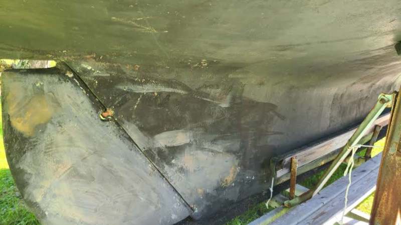 Scaled image 20230831_130137.jpg 