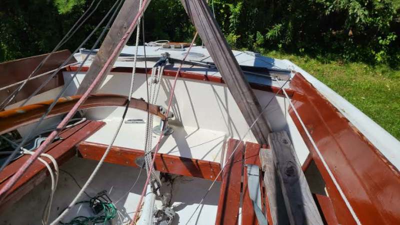 Scaled image 20230831_130508.jpg 