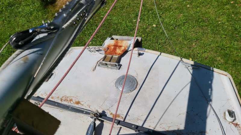 Scaled image 20230831_130538.jpg 