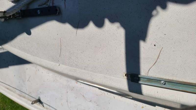 Scaled image 20230831_130708.jpg 